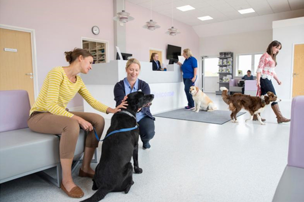 applications-vet